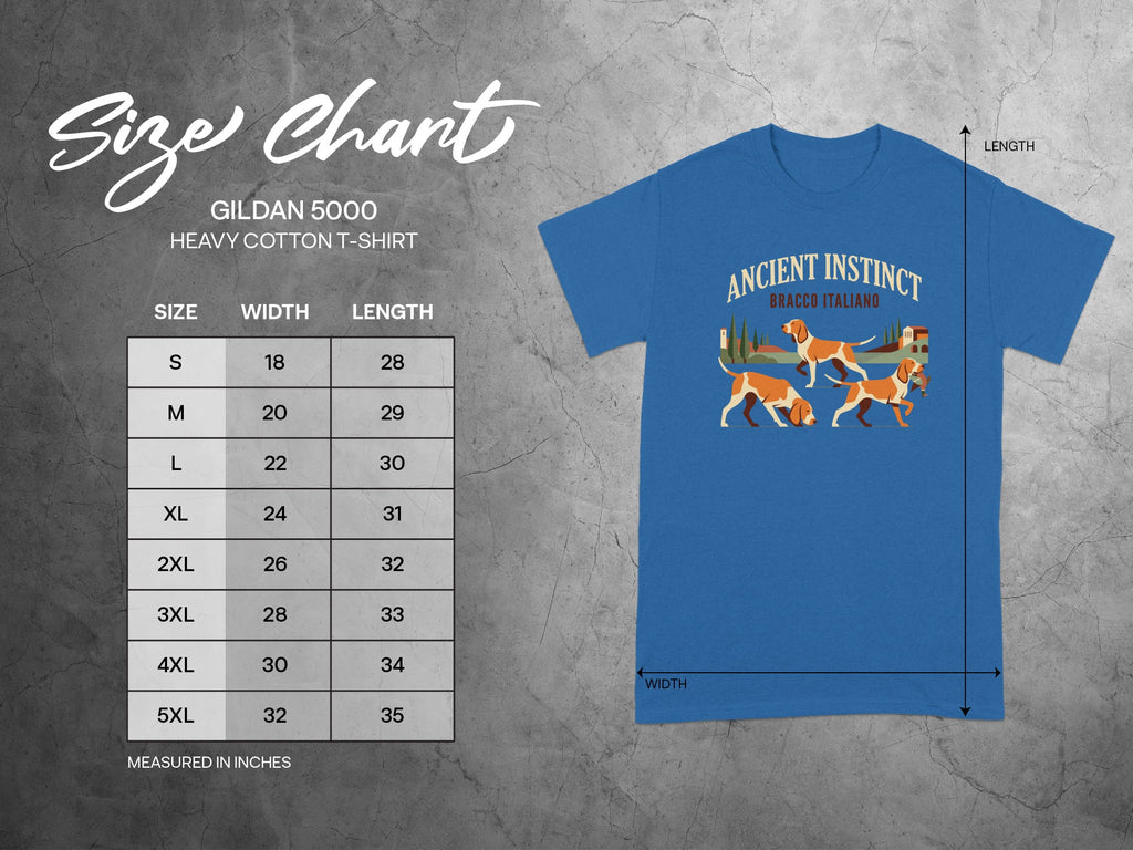Gildan 5000 t-shirt size chart with Bracco Italiano graphic.