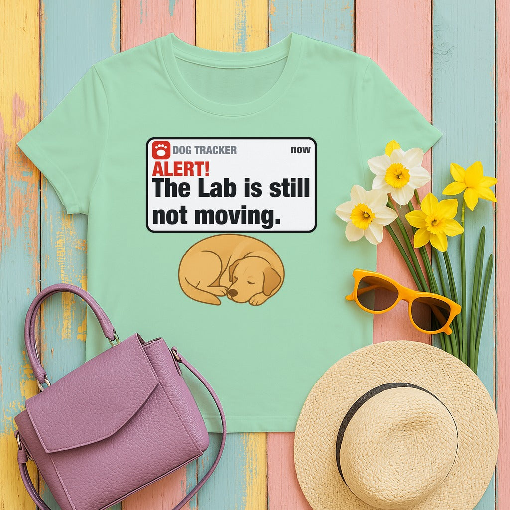 Lab Alert Still Not Moving Tee in Mint