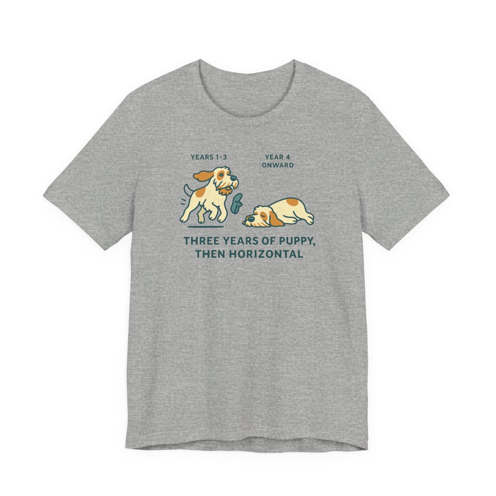 Spinone Italiano Three Years of Puppy Then Horizontal Tee