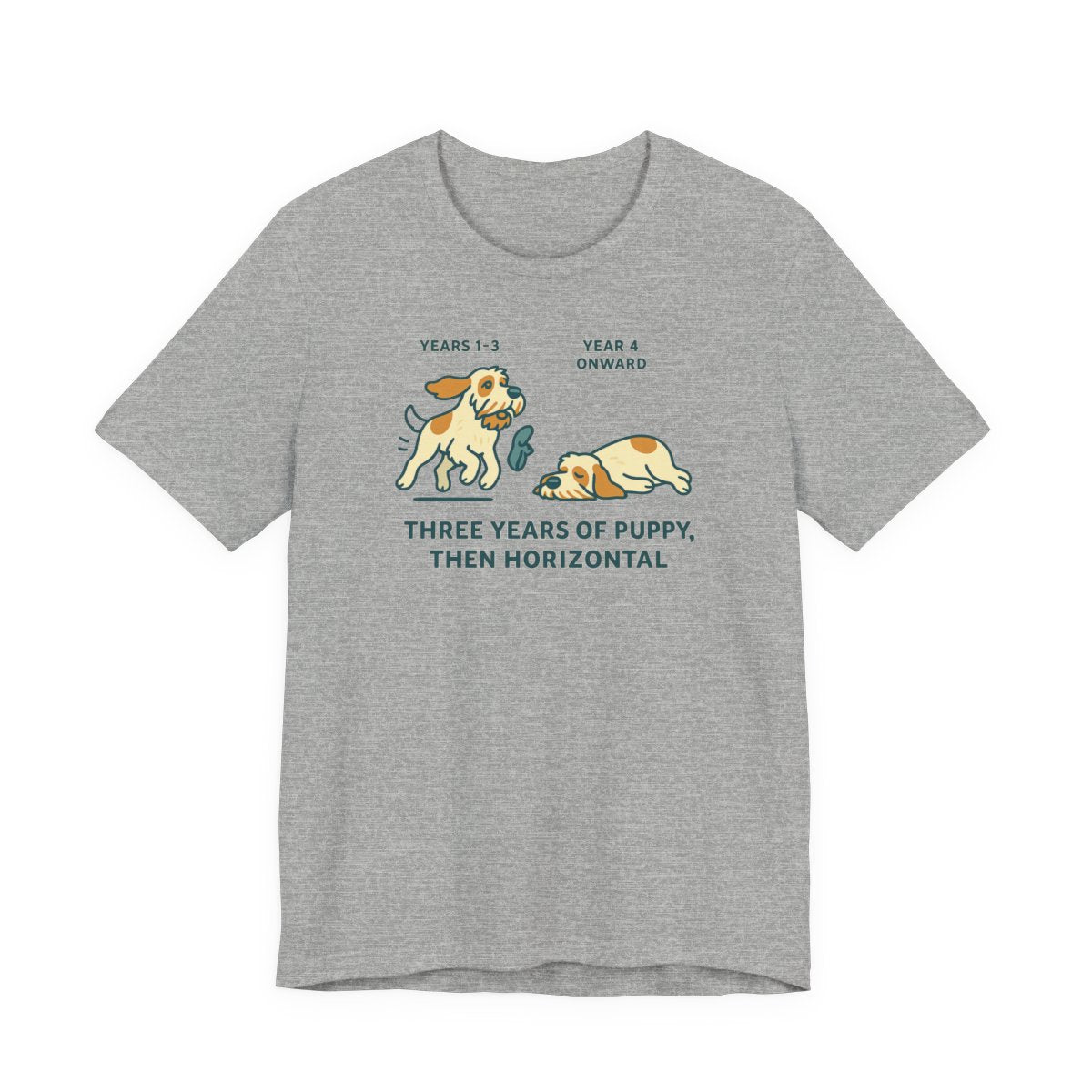 Spinone Italiano Three Years of Puppy Then Horizontal Tee
